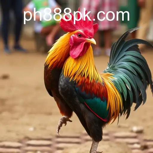 Exploring the World of Sabong Games: The Cultural Phenomenon of 888PK